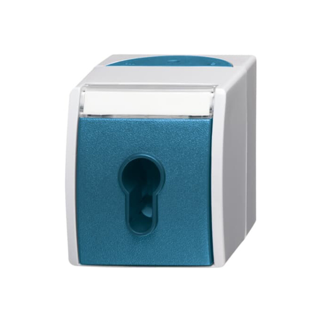 Busch-Jaeger Interrupteur à clé AP 2733 SLW-53
