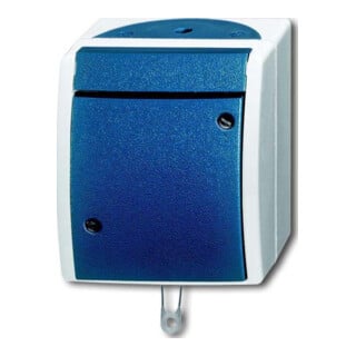 Busch-Jaeger Interrupteur à tirette AP 2610/6 W-53