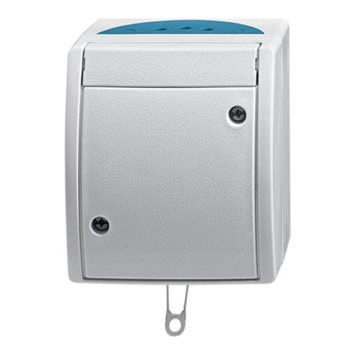 Busch-Jaeger Interrupteur à tirette AP 2610/6 W-53