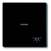 Busch-Jaeger Interrupteur basculant noir mat avec symbole lumière 1789 LI-885-1