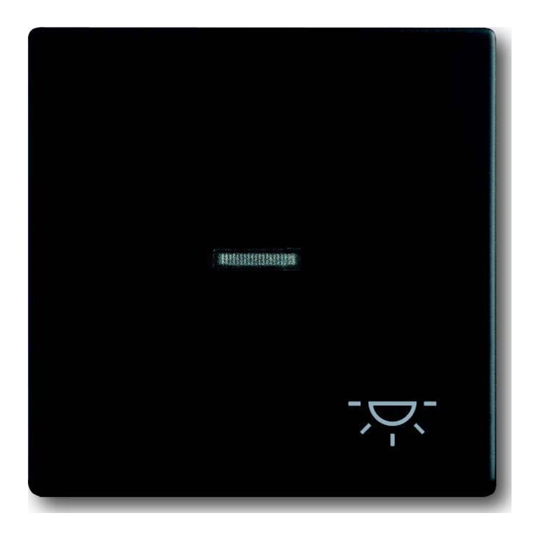 Busch-Jaeger Interrupteur basculant noir mat avec symbole lumière 1789 LI-885