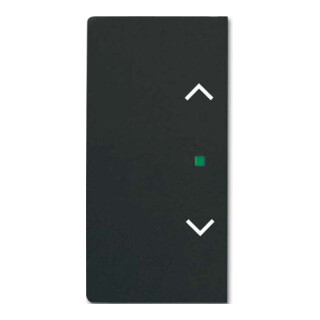 Busch-Jaeger Interrupteur basculant noir mat future linear 6232-20-885
