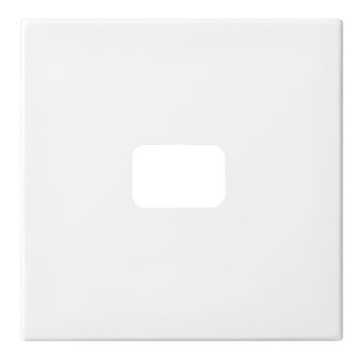 Busch-Jaeger Interrupteur basculant ouvert pour symbole blanc alpin 2520-914