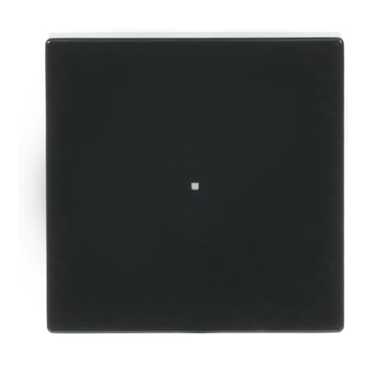 Busch-Jaeger Interrupteur bascule 1 module anthracite 6230-10-81