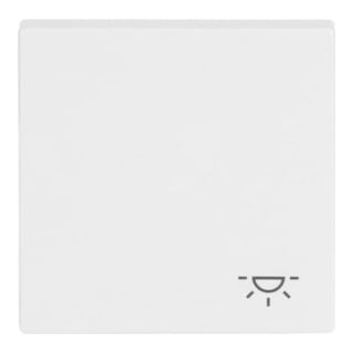 Busch-Jaeger Interrupteur bascule 2520 LI-84 blanc studio avec inscription