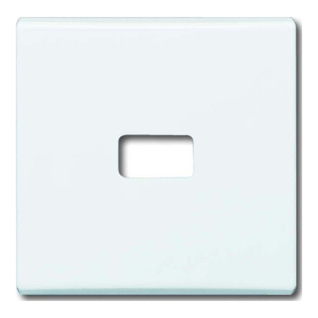 Busch-Jaeger Interrupteur bascule aws ouvert pour symbole 2120-34