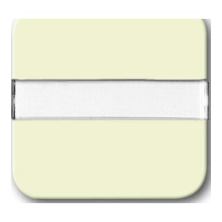 Busch-Jaeger Interrupteur bascule blanc avec inscription 2510 NLI-212
