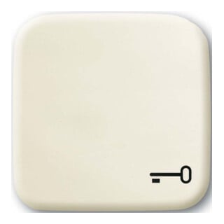 Busch-Jaeger Interrupteur bascule blanc avec symbole clé 2520 TR-212