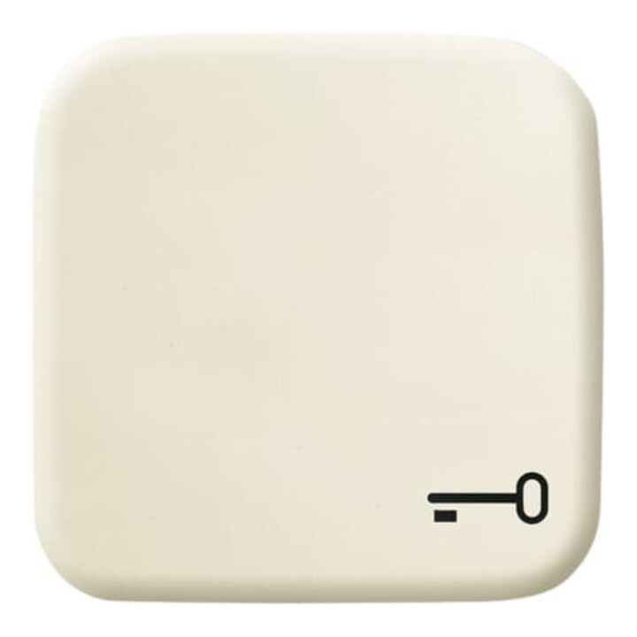 Busch-Jaeger Interrupteur bascule blanc avec symbole clé 2520 TR-212