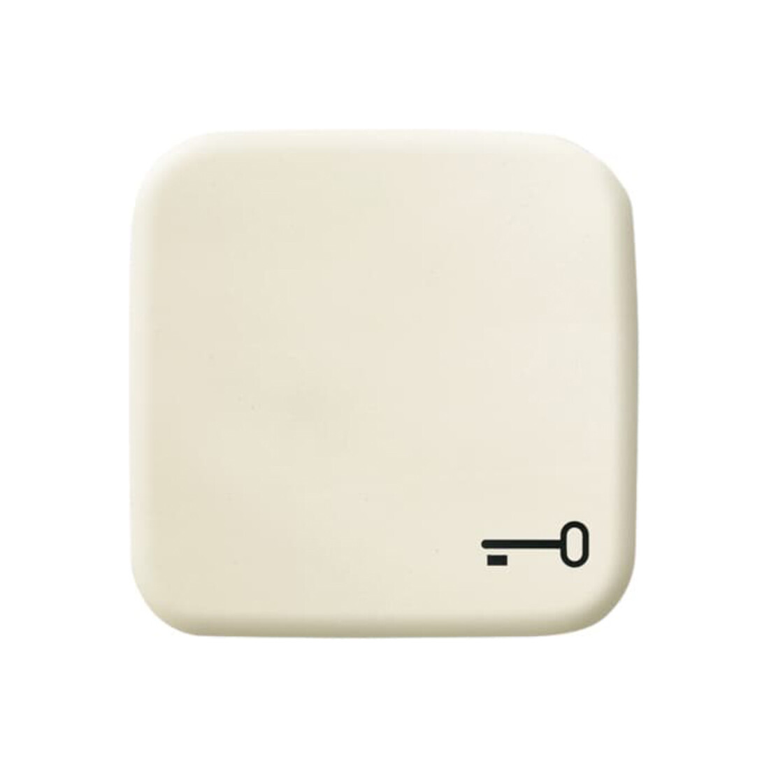 Busch-Jaeger Interrupteur bascule blanc avec symbole clé 2520 TR-212