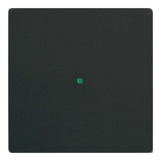 Busch-Jaeger Interrupteur bascule noir mat future linear 6230-10-885