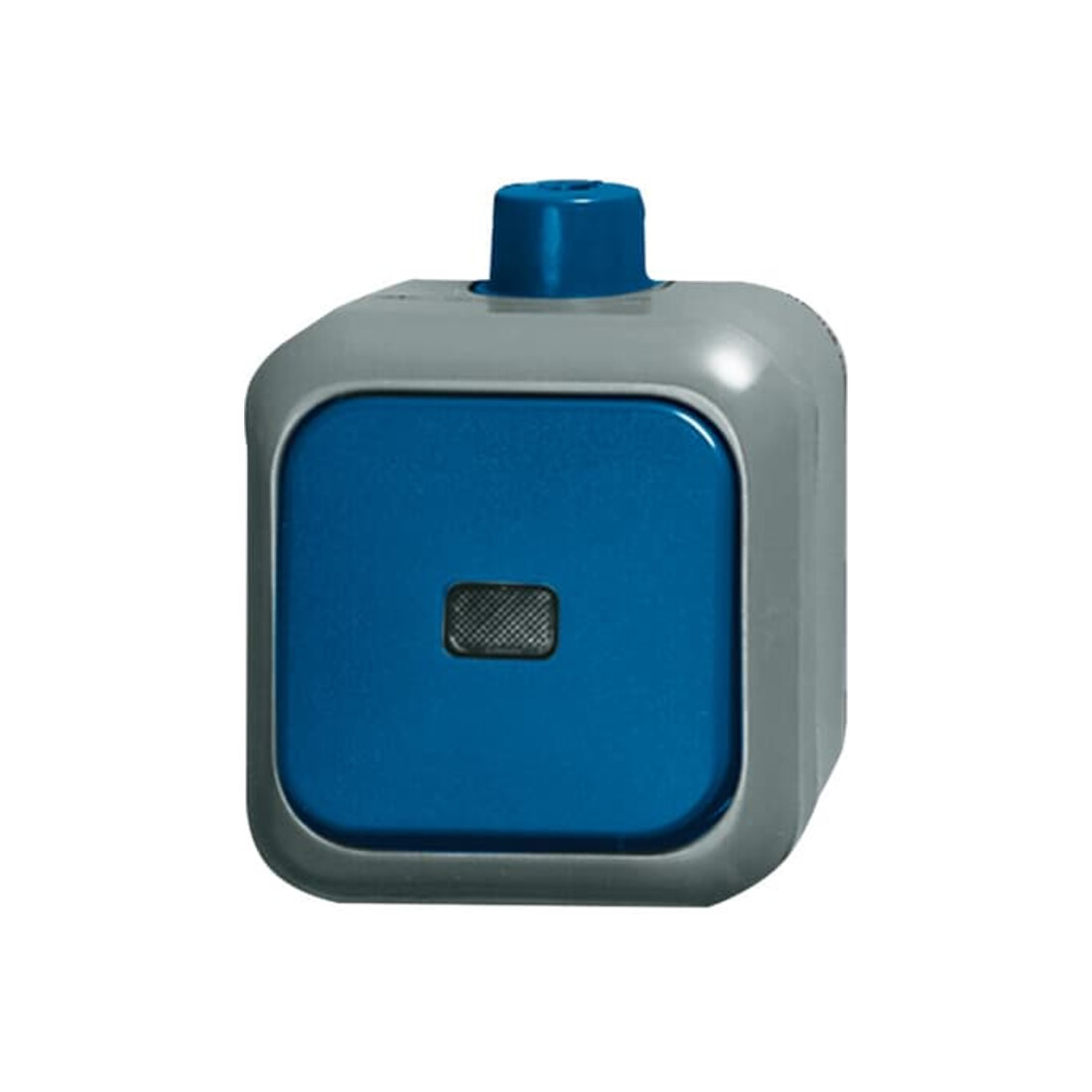 Busch-Jaeger Interrupteur de contrôle à changement de position AP 2601/6 SKWDI