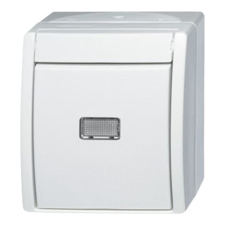 Busch-Jaeger Interrupteur-poussoir aws changeur 2621 W-54-206