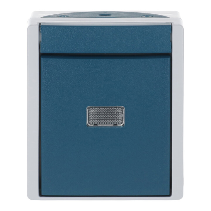 Busch-Jaeger Interrupteur-poussoir inverseur, AP 2621 W-53-206