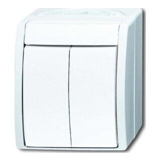 Busch-Jaeger Interrupteur série 2601/5 W-54