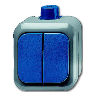 Busch-Jaeger Interrupteur série AP 2601/5 WDI