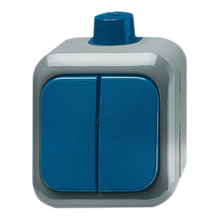 Busch-Jaeger Interrupteur série AP 2601/5 WDI