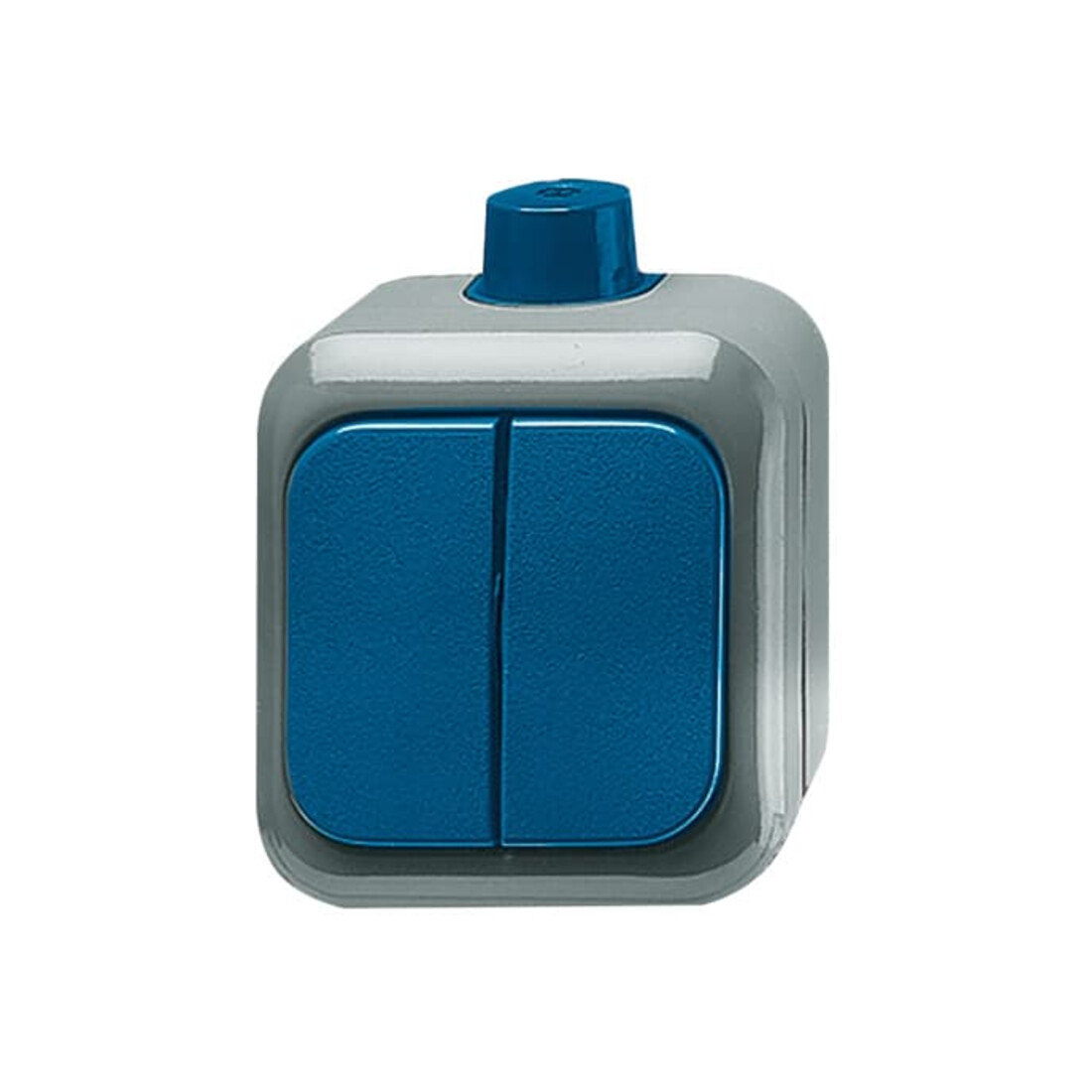 Busch-Jaeger Interrupteur série AP 2601/5 WDI