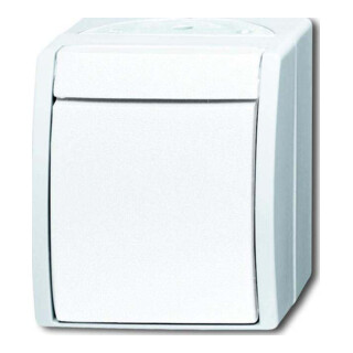 Busch-Jaeger Interrupteur unipolaire 2601/2 W-54
