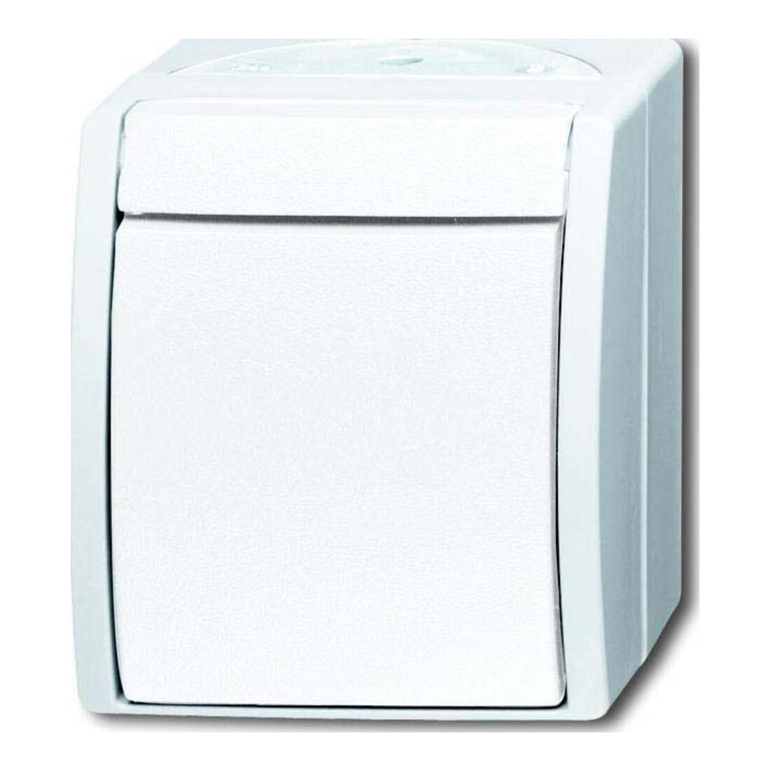 Busch-Jaeger Interrupteur unipolaire 2601/2 W-54