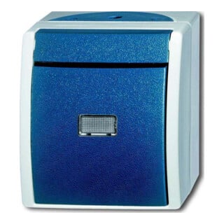 Busch-Jaeger Interrupteur va-et-vient AP 2601/6 WGL-53