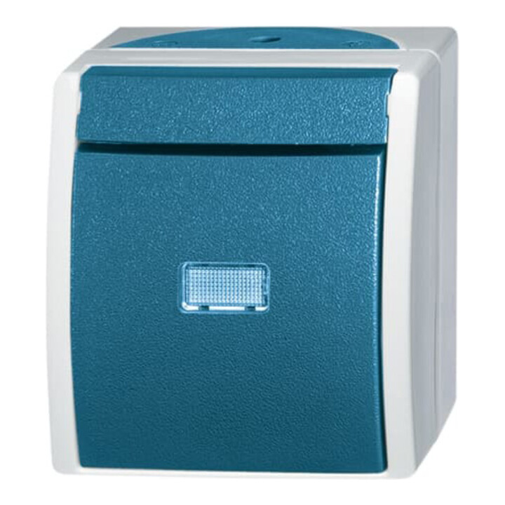 Busch-Jaeger Interrupteur va-et-vient AP 2601/6 WGL-53