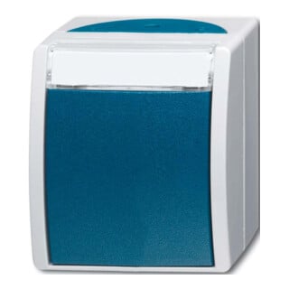Busch-Jaeger Interrupteur va-et-vient AP avec plaque nominative 2601/6 WN-53
