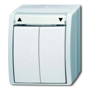 Busch-Jaeger Interrupteur volet roulant 2621/4 W-54-1