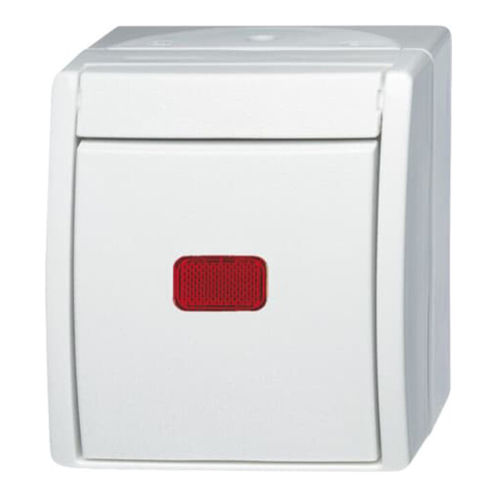 Busch-Jaeger Kontr.-Wechselschalter 2601/6 SKW-54