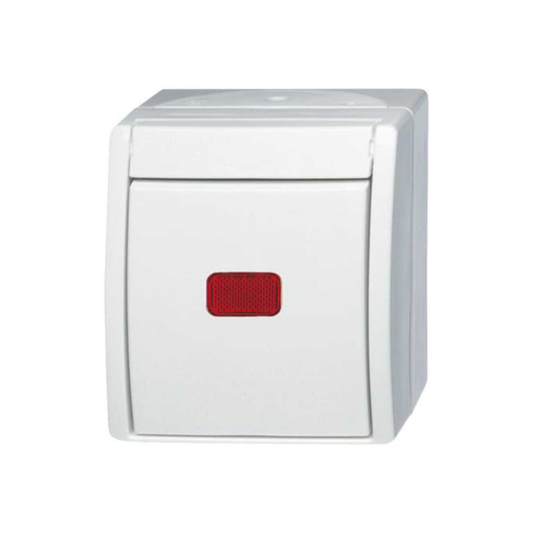 Busch-Jaeger Kontr.-Wechselschalter 2601/6 SKW-54