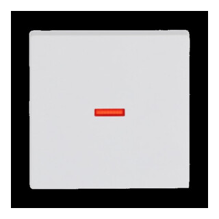 Busch-Jaeger Kontroll-Wippe stws mt Aus,Wech.,Kreuz,Tas. 1789-884
