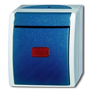Busch-Jaeger Kontrollwechselschalter AP 2601/6 SKW-53