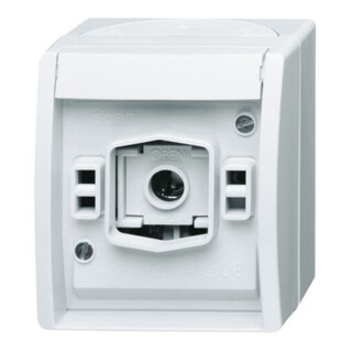 Busch-Jaeger Lichtsignal 2661 W-54