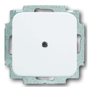 Busch-Jaeger Plaque aveugle centrale aws avec bague de support 2538-214