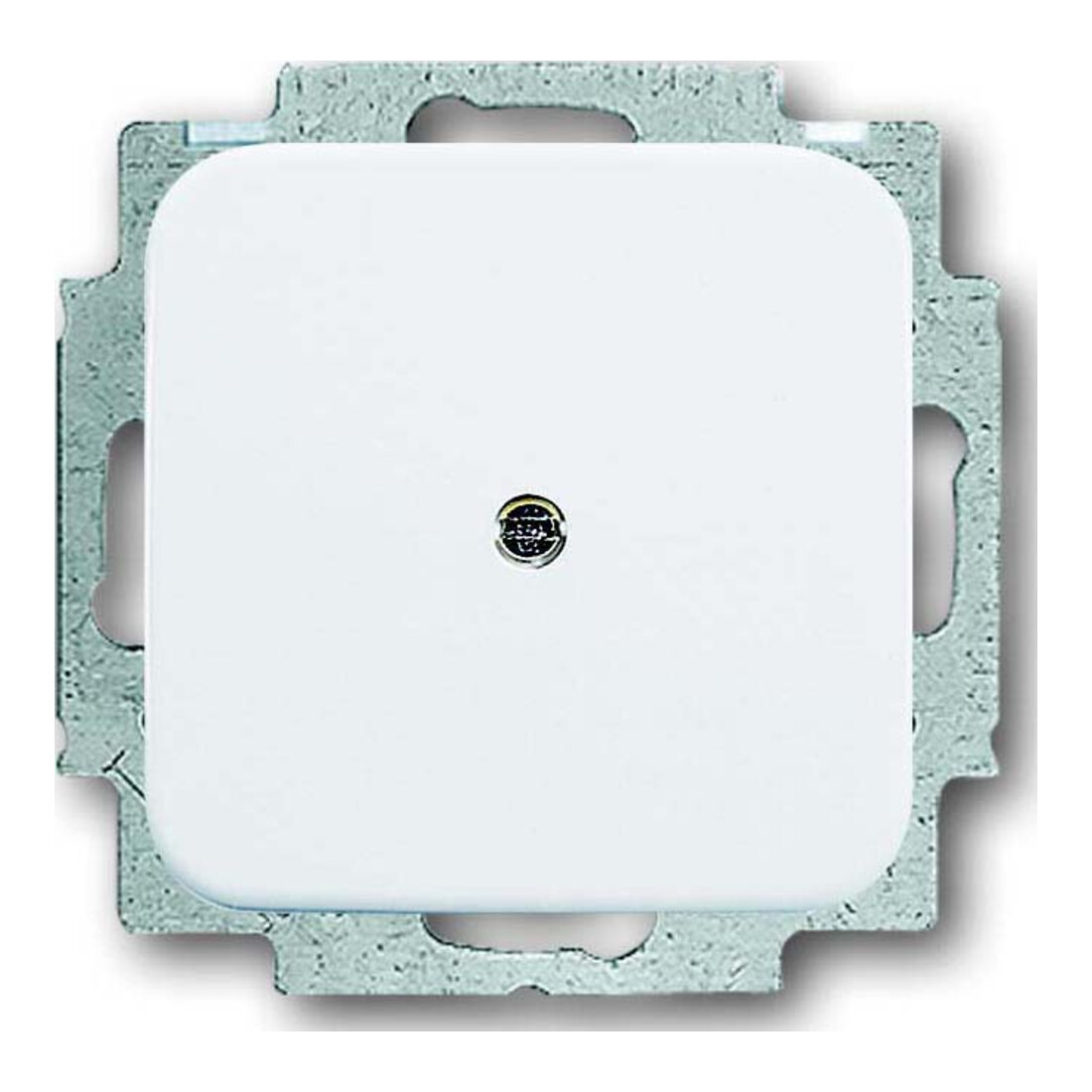 Busch-Jaeger Plaque aveugle centrale aws avec bague de support 2538-214