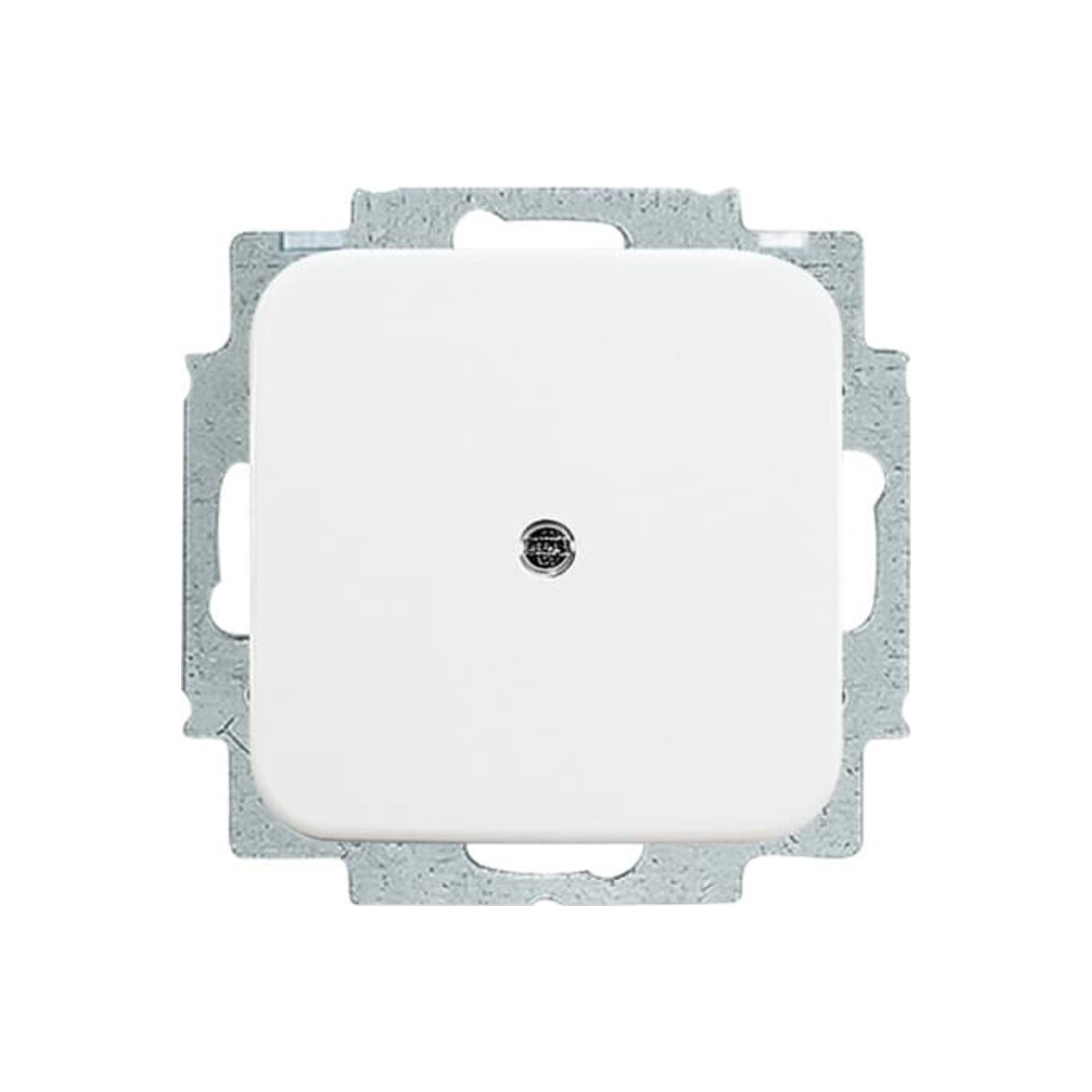 Busch-Jaeger Plaque aveugle centrale aws avec bague de support 2538-214
