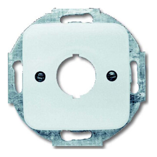 Busch-Jaeger Plaque centrale aws 19 mm appareils de commande 2534-214
