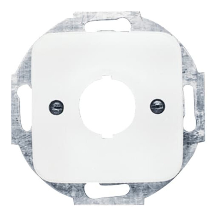 Busch-Jaeger Plaque centrale aws 19 mm appareils de commande 2534-214