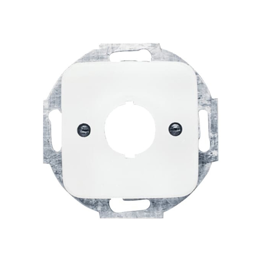 Busch-Jaeger Plaque centrale aws 19 mm appareils de commande 2534-214