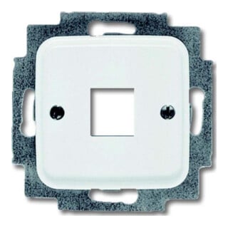 Busch-Jaeger Plaque centrale aws pour 1 prise modulaire 2561-214
