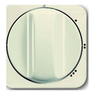 Busch-Jaeger Plaque centrale aws pour commutateur rotatif 3 positions 2542 DR/01-214
