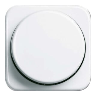 Busch-Jaeger Plaque centrale aws pour variateur rotatif 2115-214