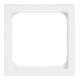 Busch-Jaeger Plaque centrale dav 50×50, pour insert TAE 1746/10-84
