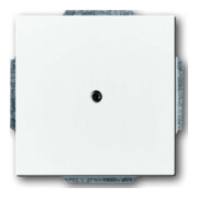 Busch-Jaeger Plaque centrale dav/sws avec bague de support 1742-84-1