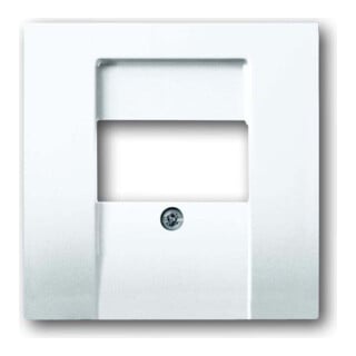 Busch-Jaeger Plaque centrale dav/sws pour UAE/TAE/LS 1766-84