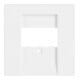 Busch-Jaeger Plaque centrale dav/sws pour UAE/TAE/LS 1766-84