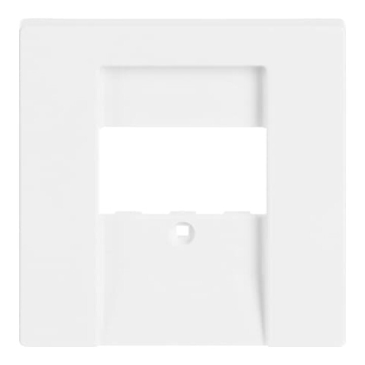 Busch-Jaeger Plaque centrale dav/sws pour UAE/TAE/LS 1766-84
