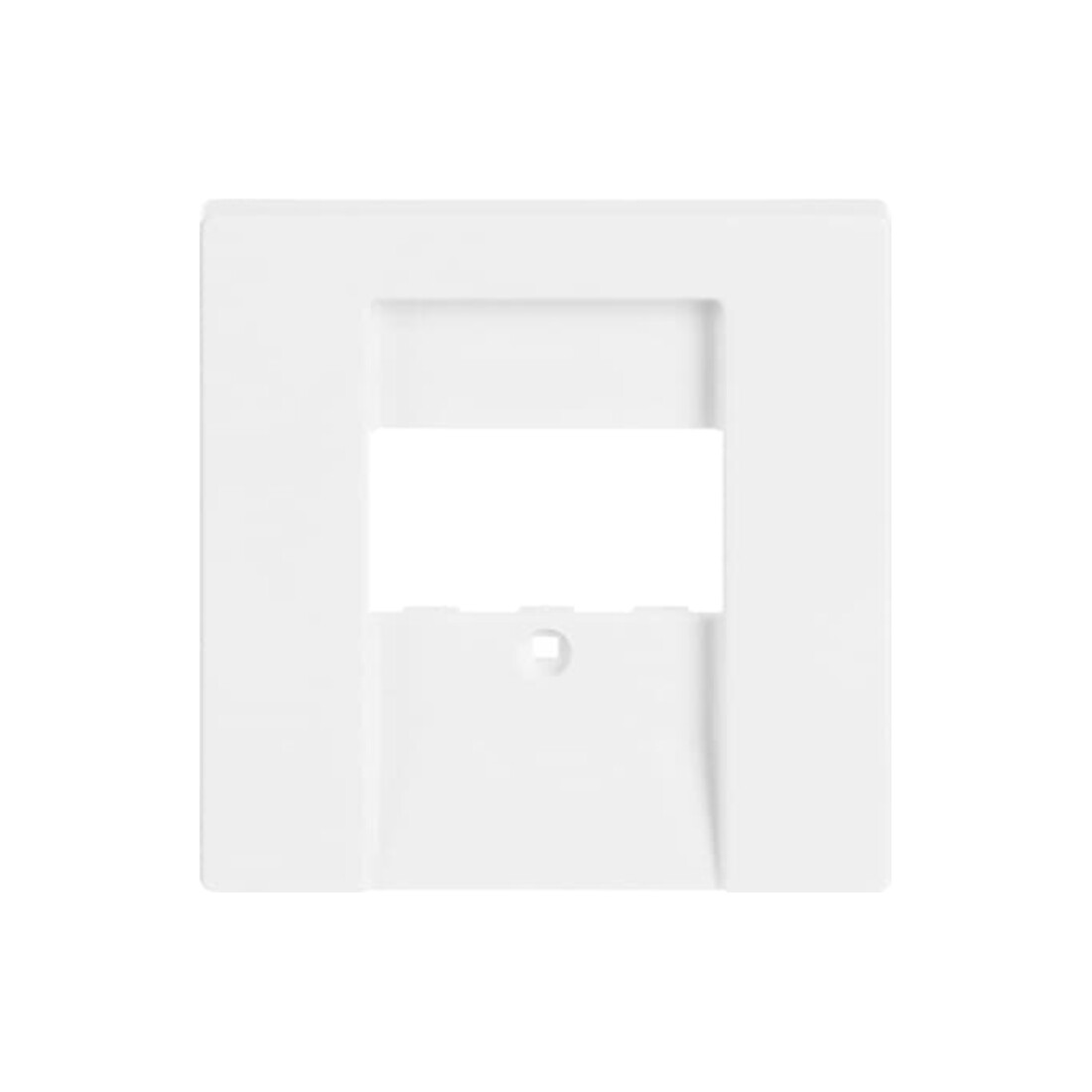 Busch-Jaeger Plaque centrale dav/sws pour UAE/TAE/LS 1766-84