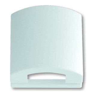 Busch-Jaeger Plaque centrale dav/sws TAE, 50×50 mm, à clapet 1746-84