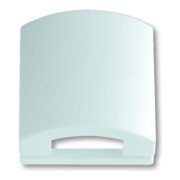 Busch-Jaeger Plaque centrale dav/sws TAE, 50×50 mm, à clapet 1746-84-1